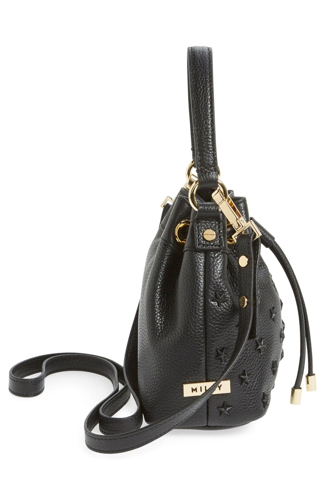 Milly Small Leather Bucket Bag, Alternate, color, 
