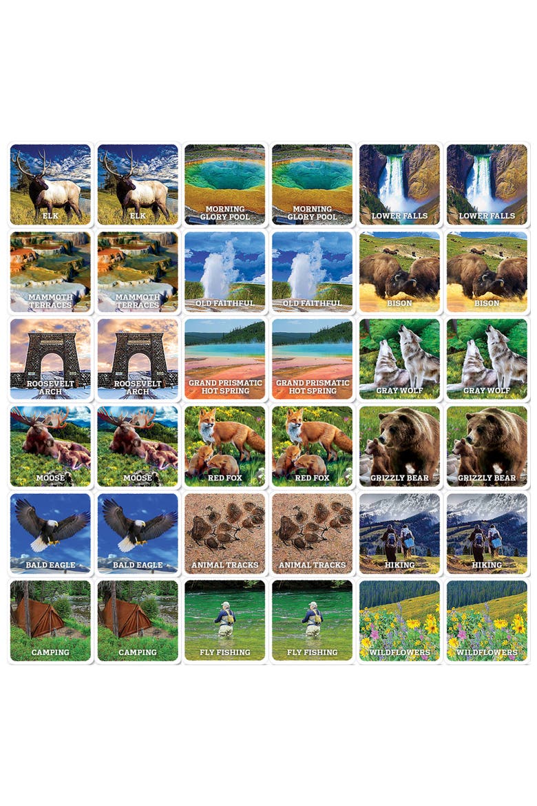 Jr. Ranger - Yellowstone Matching Game, Alternate, color, Multicolor