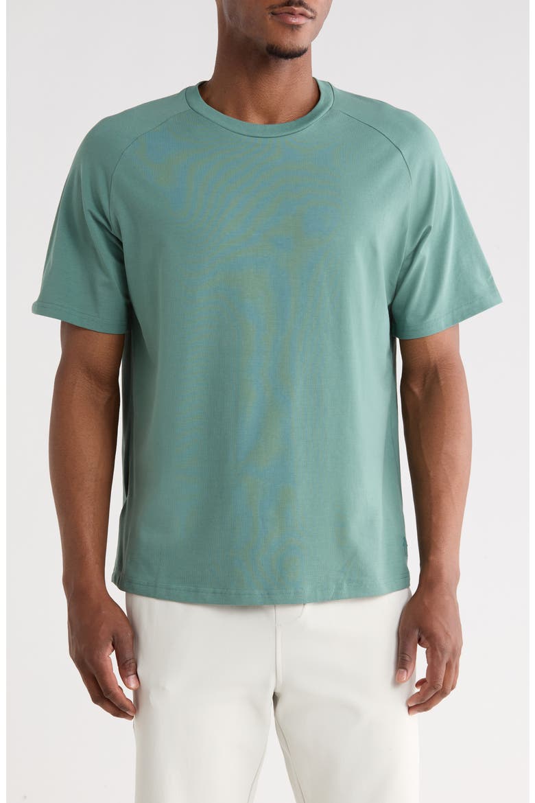 Short Raglan Sleeve T-Shirt, Main, color, TRAINING SAGE