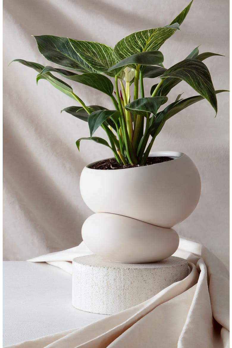 Self Watering Planter, Alternate, color, CREAM