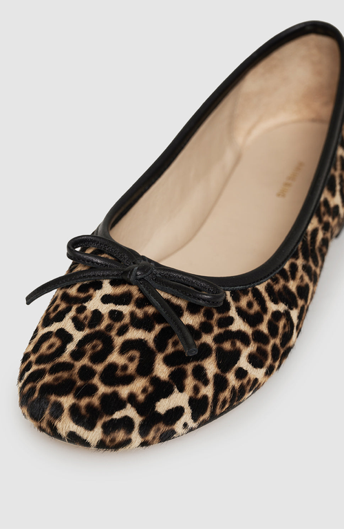 Anine Bing Jamie Leopard-patterm Flats In Brown