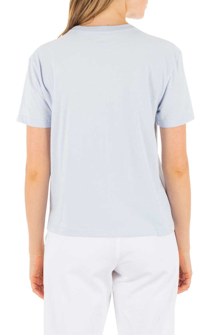 Paradiso Classic Cotton Jersey Graphic T-Shirt, Alternate, color, ICELAND