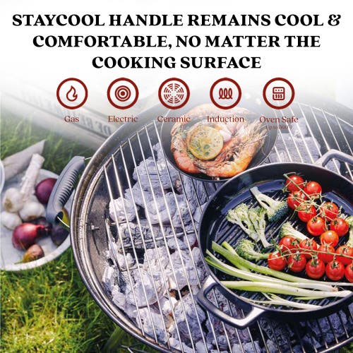 Alva Nori 11in Pre-seasoned Cast Iron Grill Pan In Black