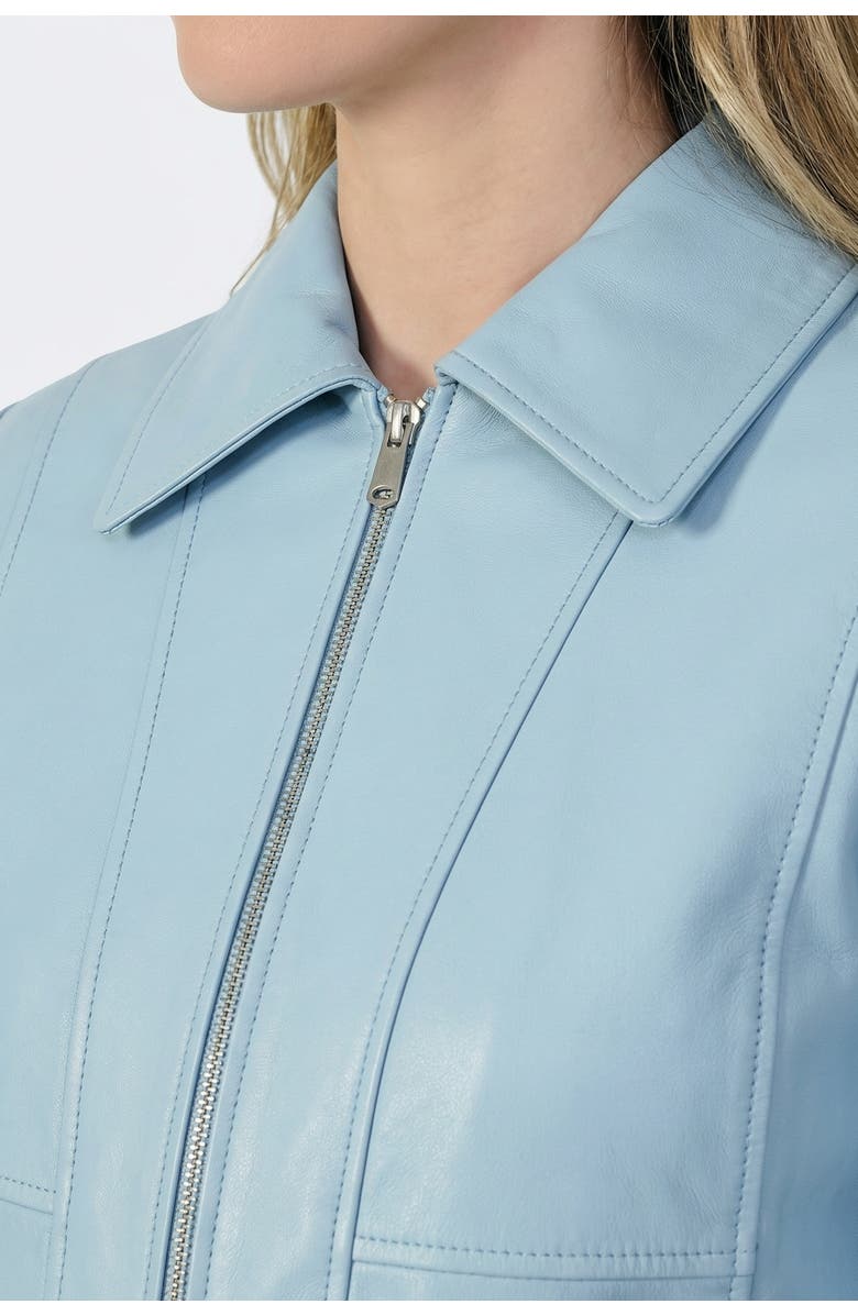 FURNIQ UK Daisy Leather Jacket, Alternate, color, Blue