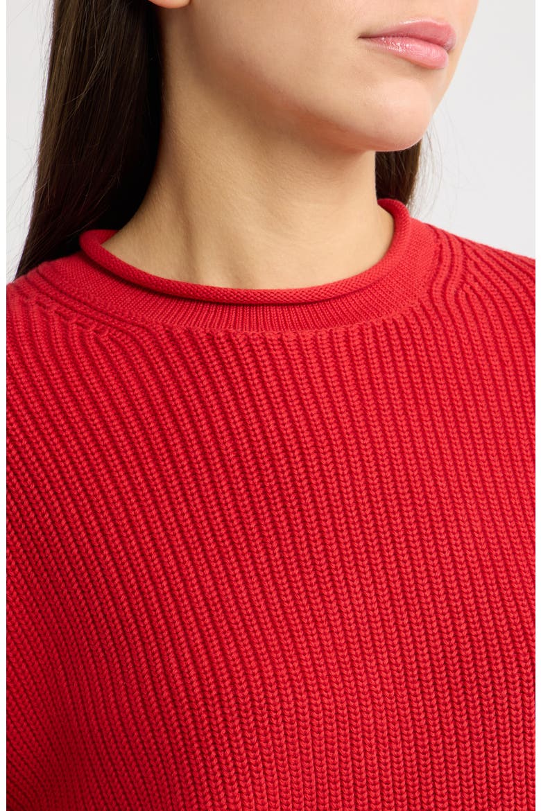 The Arden Crewneck Cotton Sweater, Alternate, color, POMEGRANATE SEED