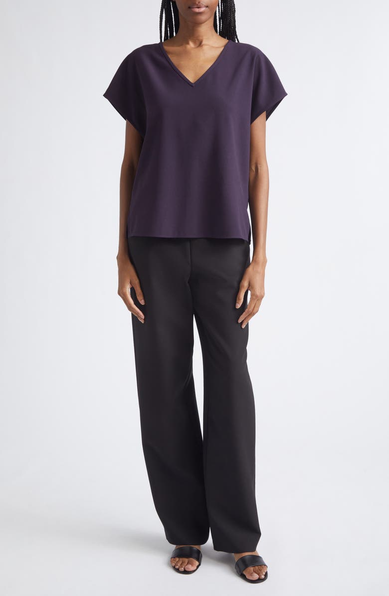 Emporio Armani V-Neck Short Sleeve Cady Top, Alternate, color, Blackberry