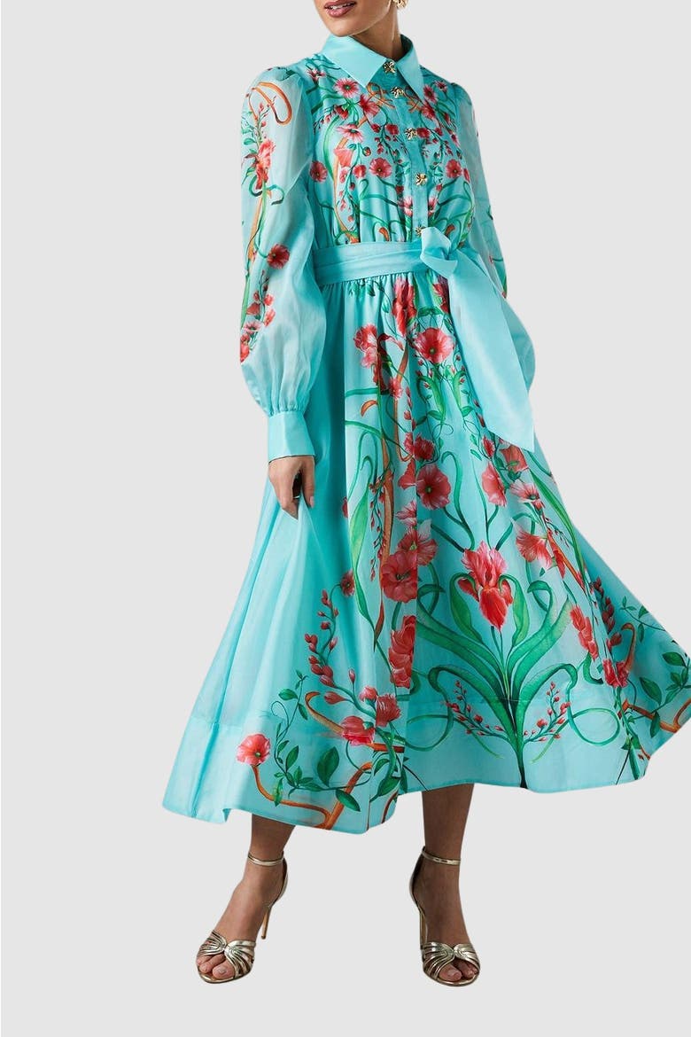 Border Print Organza Shirt Dress, Alternate, color, Mint