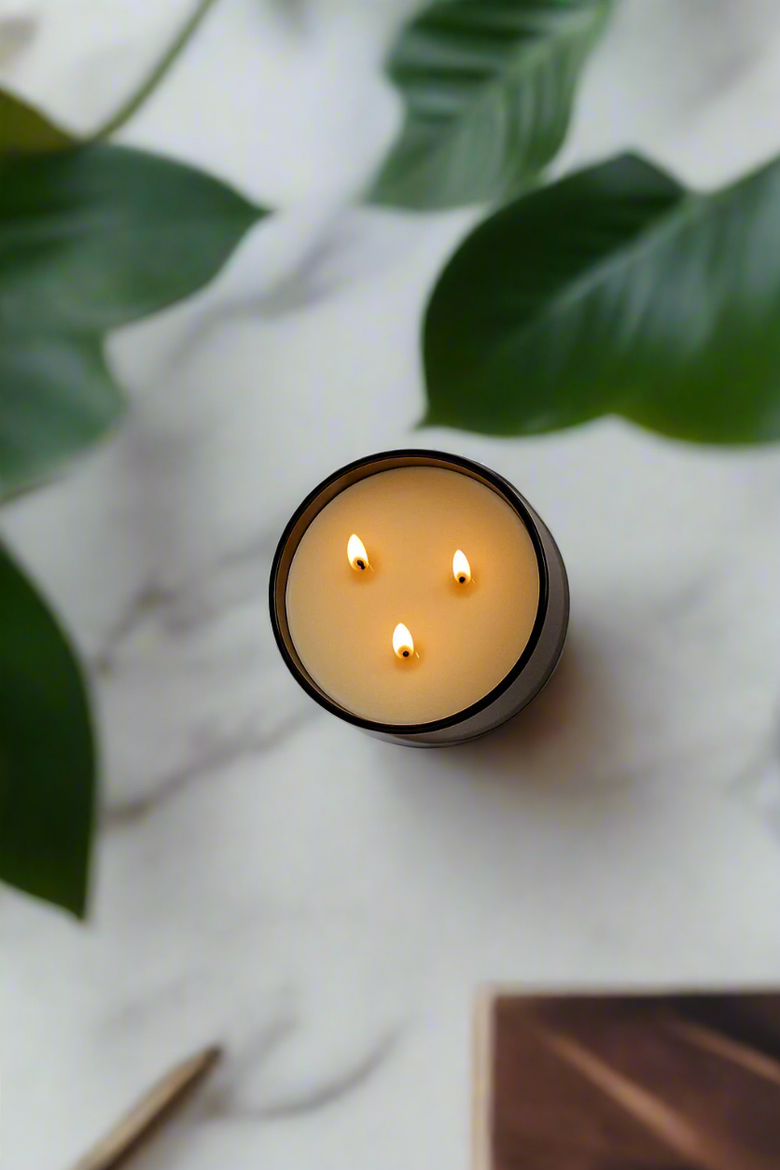 Lavender + Cedar - Signature 3-Wick Candle, Alternate, color, Brown