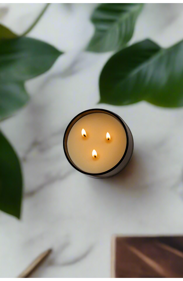 SLOW NORTH Lavender + Cedar - Signature 3-Wick Candle, Alternate, color, Brown