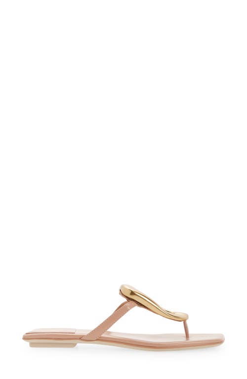 Jeffrey Campbell Linques-j Embellished T-strap Flat Jelly Sandals In Multi