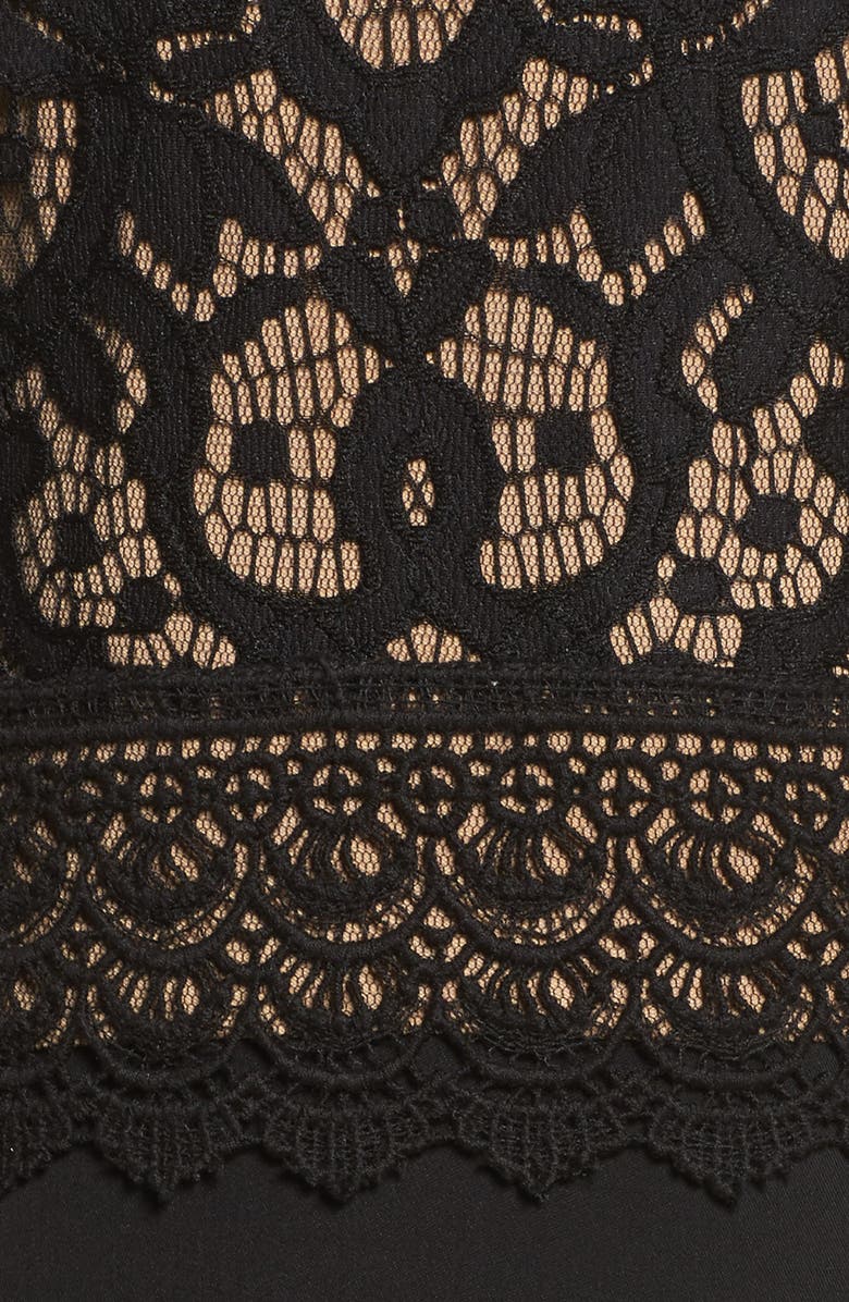 Tadashi Shoji Lace & Crepe Gown, Alternate, color, 