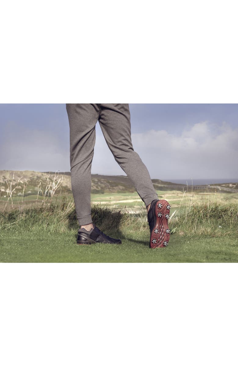 ECCO BIOM<sup>®</sup> G 3 Gore-Tex<sup>®</sup> Golf Shoe, Alternate, color,