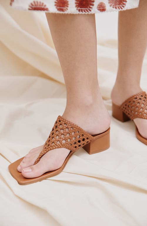 Andrea Gomez Brenda Woven Leather Sandals In Camel