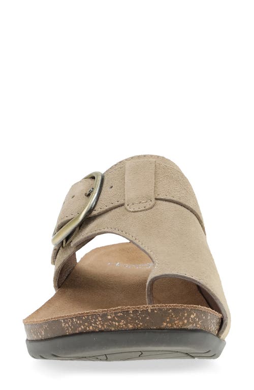 Dansko Rylee Sandal In Sand Suede