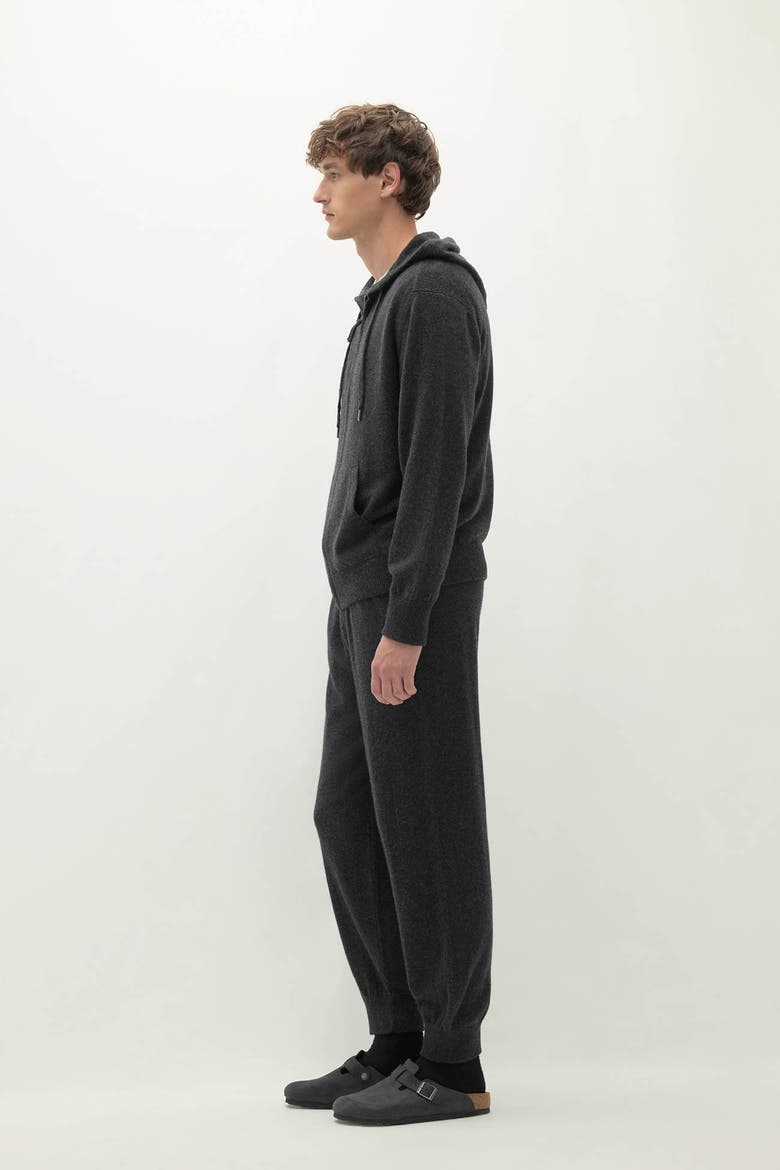 Kayden Zip-Up Hoodie, Alternate, color, Charcoal