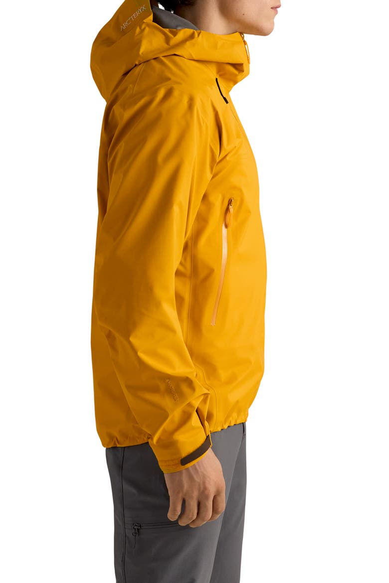 Beta SL GORE-TEX Hooded Jacket, Alternate, color, NUCLEUS