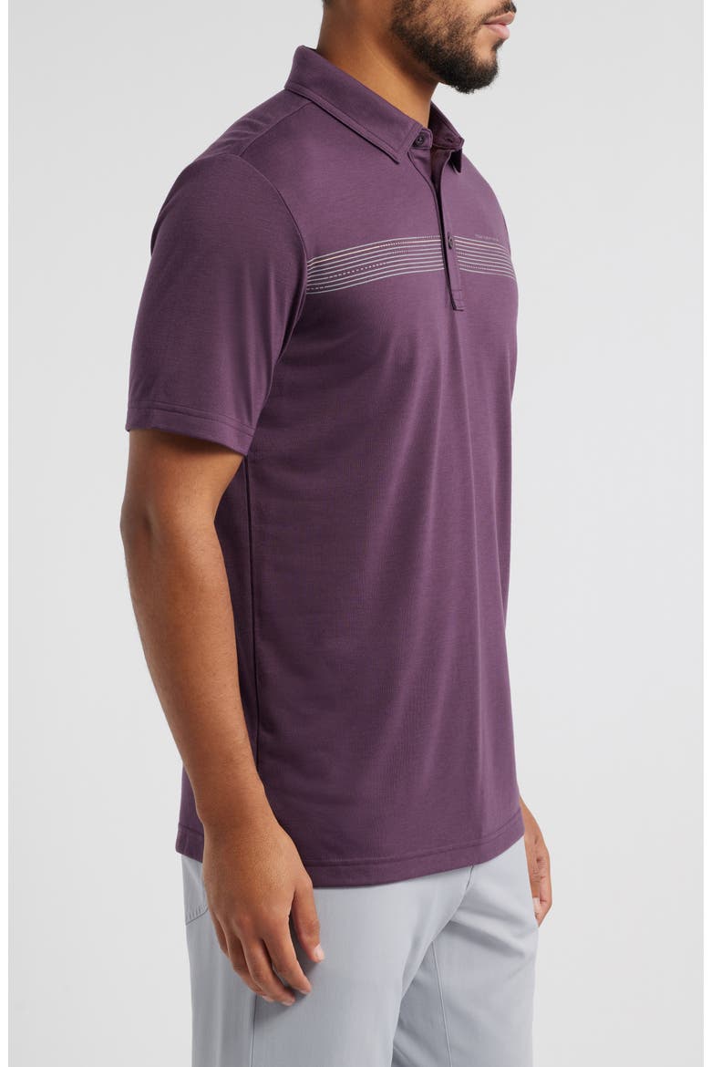 Coast Charted Chest Stripe Piqué Polo, Alternate, color, PLUM