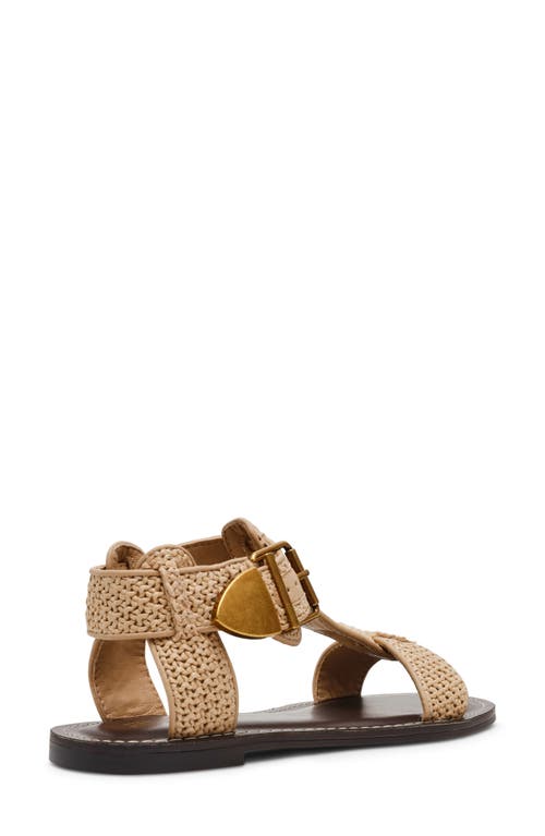 Shop Steve Madden Brazinn Gladiator Sandal