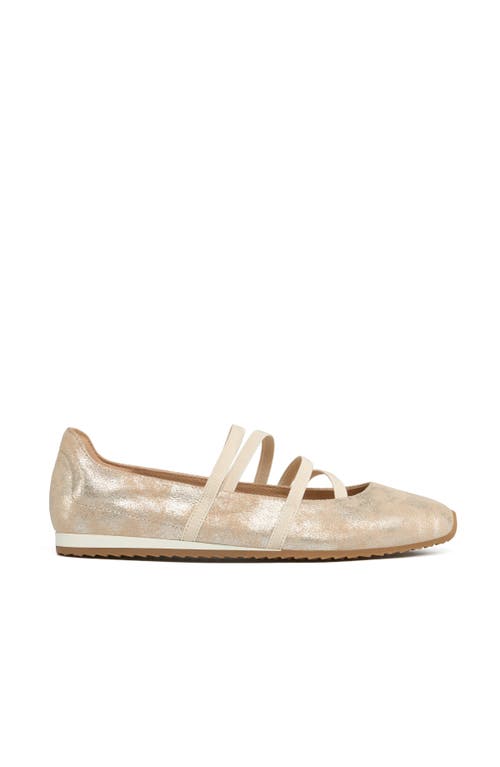 Jslides Pixie Sandal In Gold