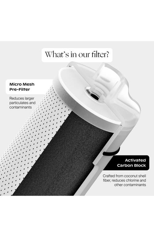 Canopy Faucet Water Filter In Gold