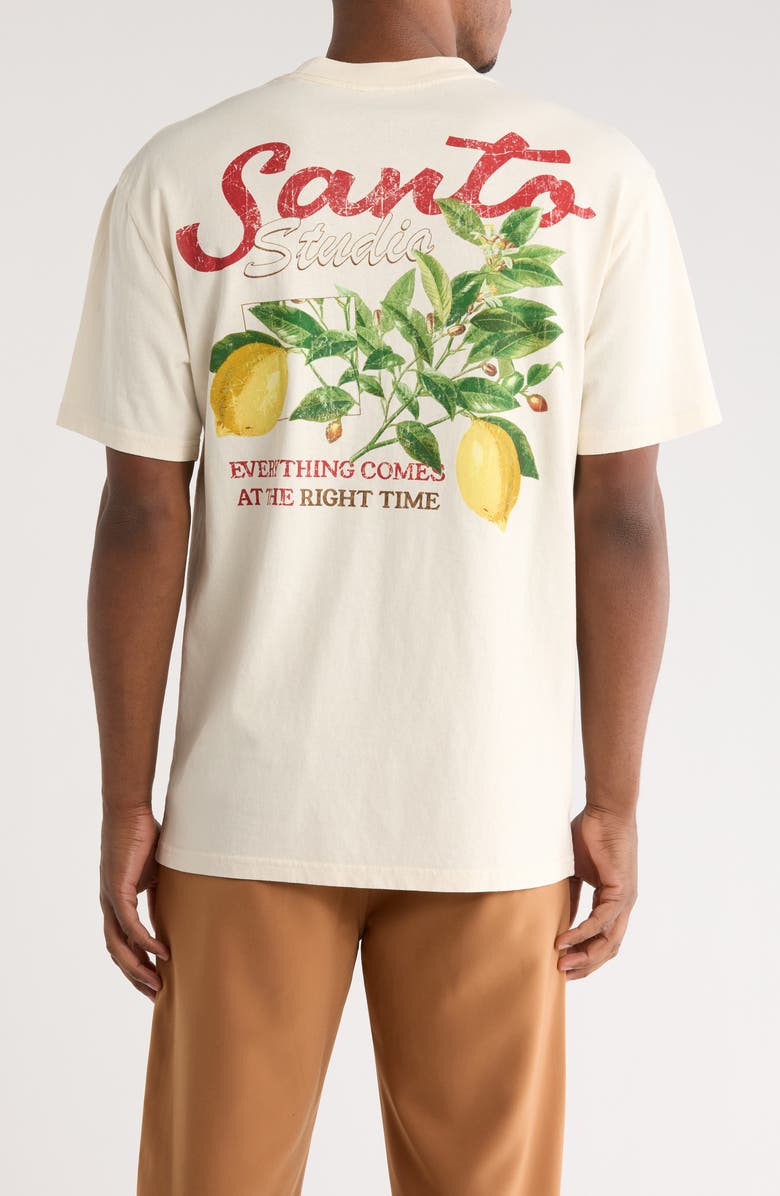 SANTO STUDIO Lemon Drappo Cotton Graphic T-Shirt, Alternate, color, 