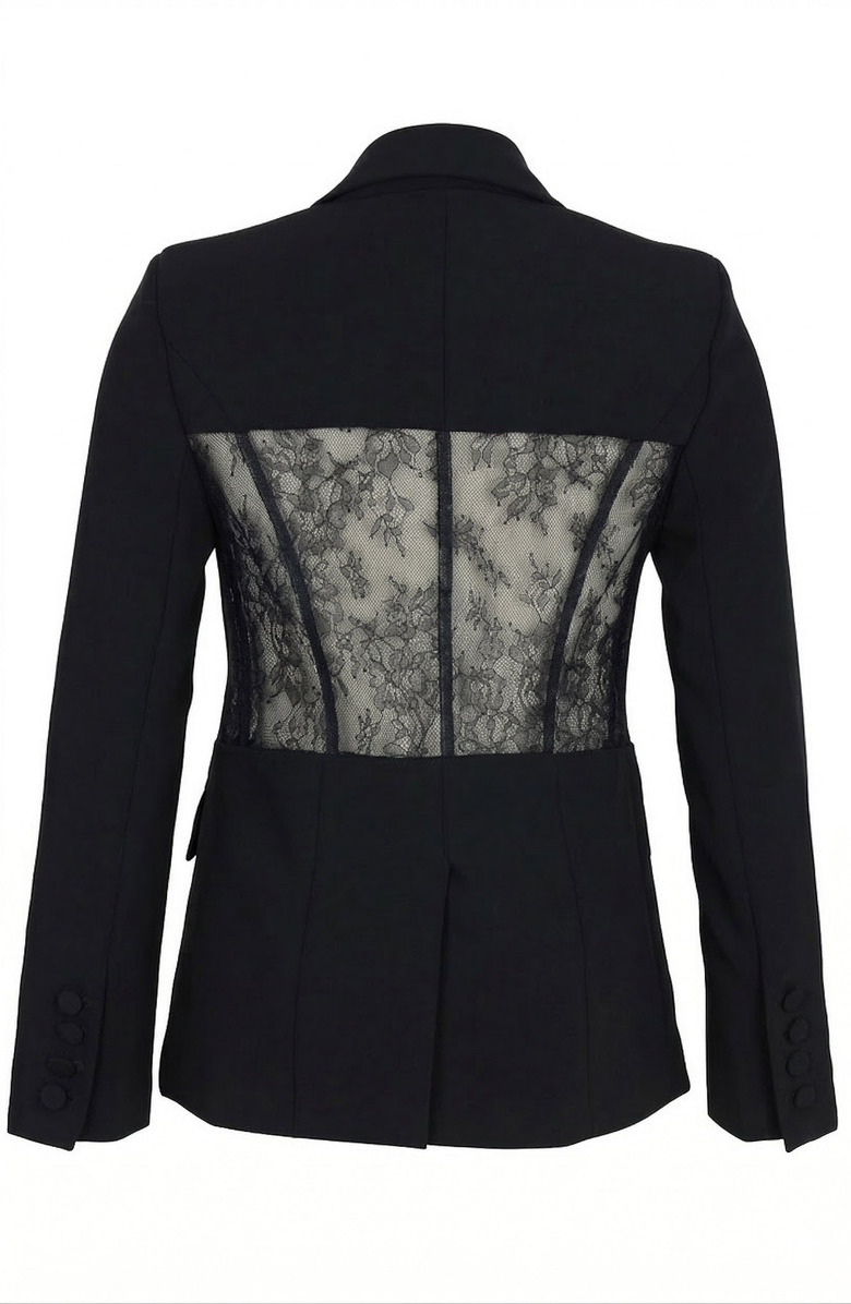 Modenaire Lace Panel Blazer, Alternate, color, Black