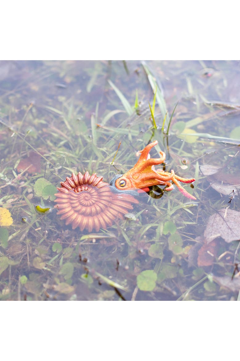 Ammonite Toy, Alternate, color, No Color