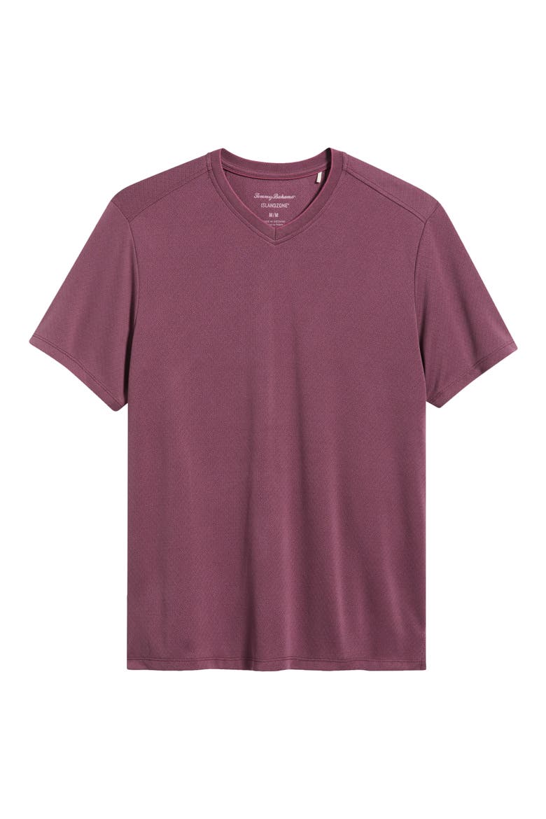 Keyport Diamond V-Neck IslandZone® T-Shirt, Alternate, color, SHADOW PLUM