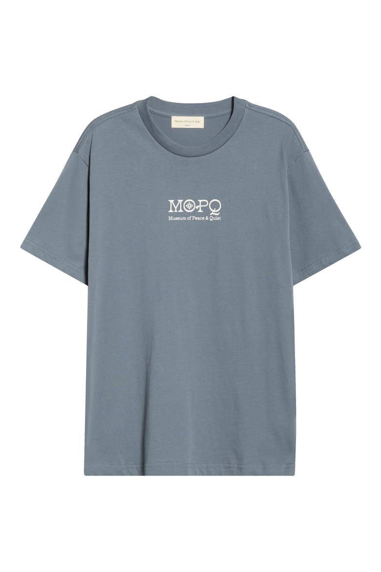 Southwest Graphic T-Shirt, Alternate, color, SLATE