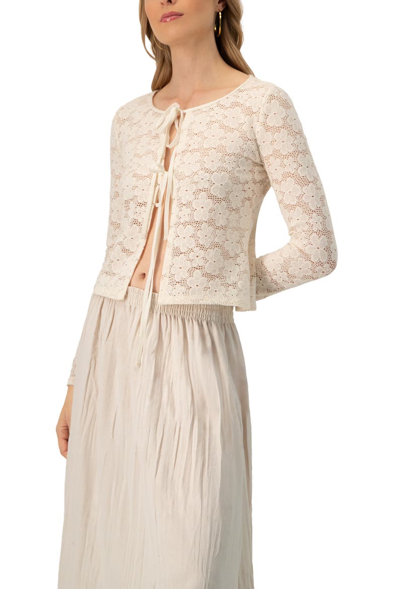 Long Sleeve Knitted Lace Straight Blouse, Alternate, color, Ivory