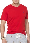 Polo Ralph Lauren Big & Tall Classic Fit V-Neck T-Shirt