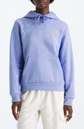 The North Face Explore Graphic Hoodie