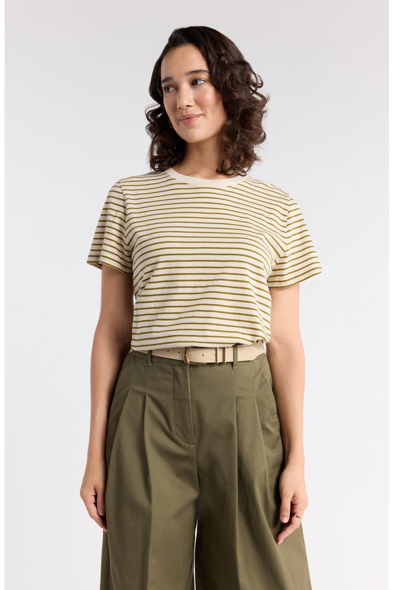 Crewneck Cotton T-Shirt, Main, color, BEIGE R OLIVE A ASHLEY STRIPE