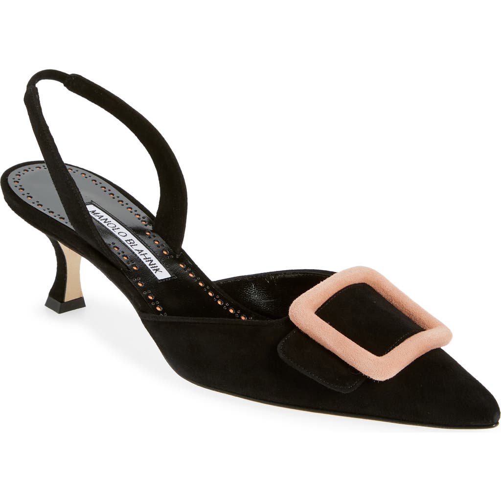 Manolo Blahnik Maysli Buckle Pointed Toe Kitten Heel Pump In Multi