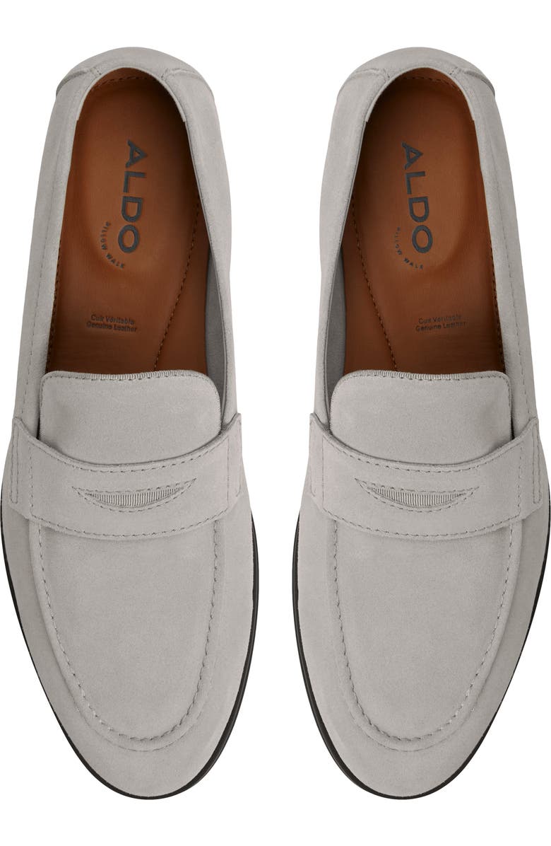 ALDO Journey Penny Loafer, Alternate, color,