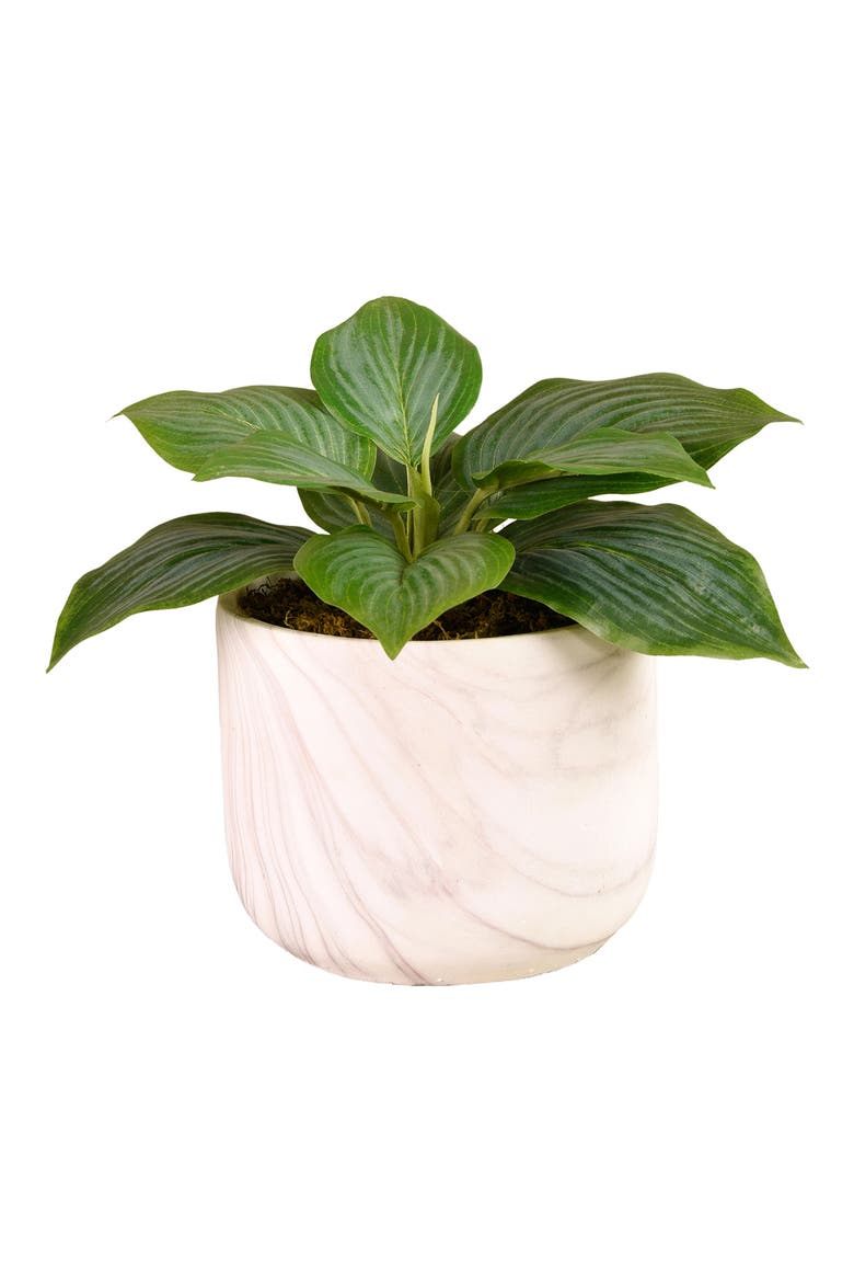 Potted Hosta Planter Decoration, Main, color, GREEN