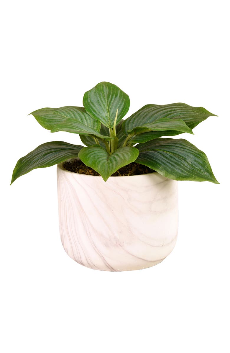 Bloomr Potted Hosta Planter Decoration, Main, color, 
