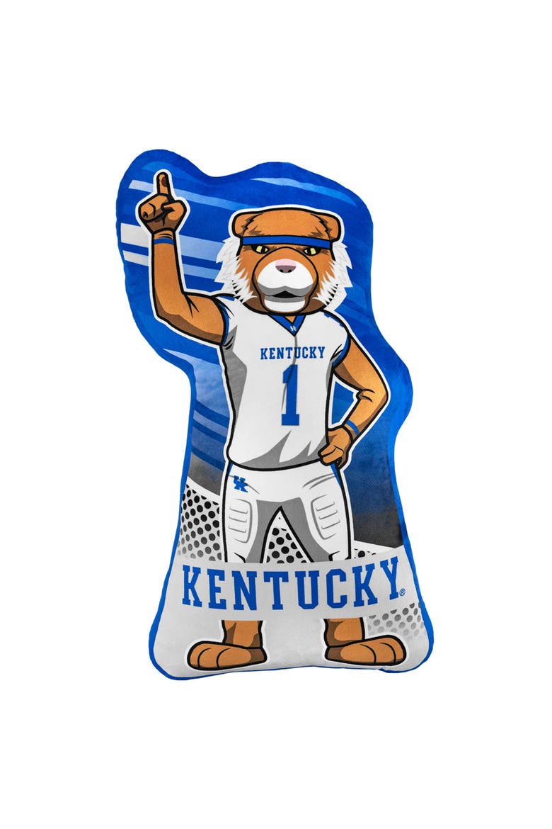 University of Kentucky 24" Sideline Pal, Main, color, None