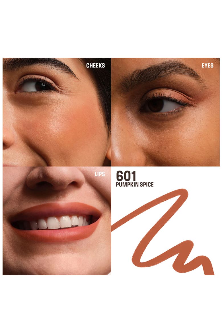 Artist Color Pencil Long-Lasting Lip & Eye Liner, Alternate, color, 601 - PUMPKIN SPICE MATTE