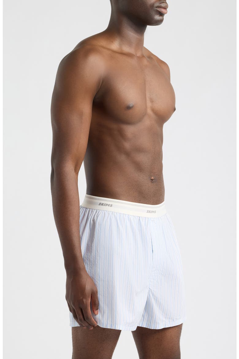 Logo Band Cotton Boxers, Alternate, color, PLATINUM DOUBLE STRIPE