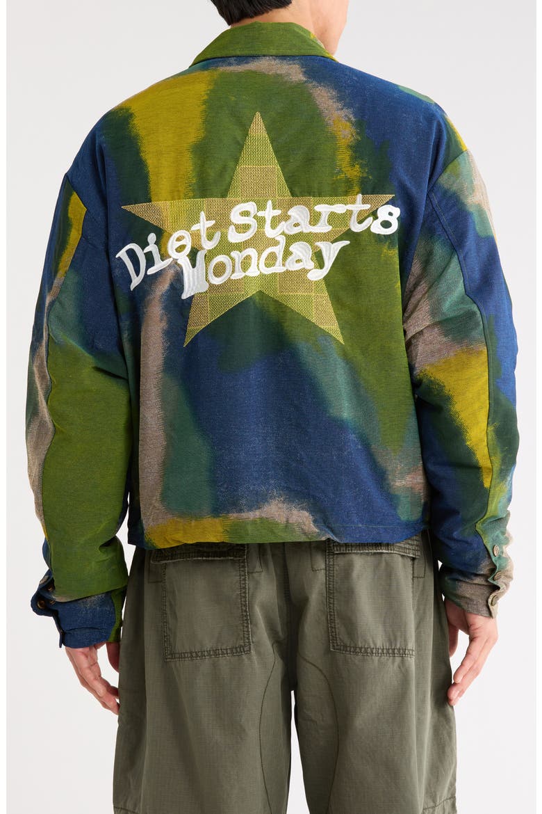 Morrison Cotton Jacket, Alternate, color, GREEN/MULTI