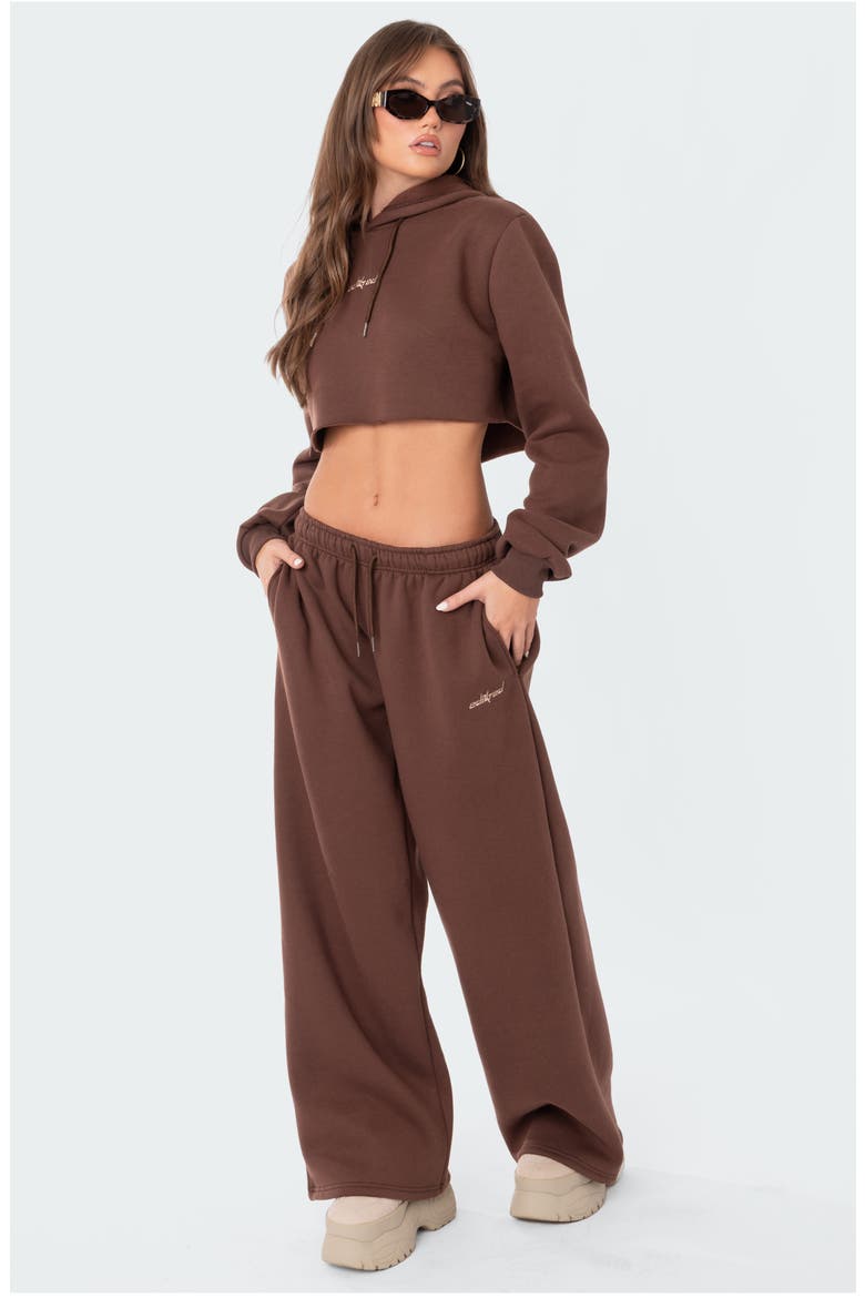 Brenna Crop Hoodie, Alternate, color, BROWN