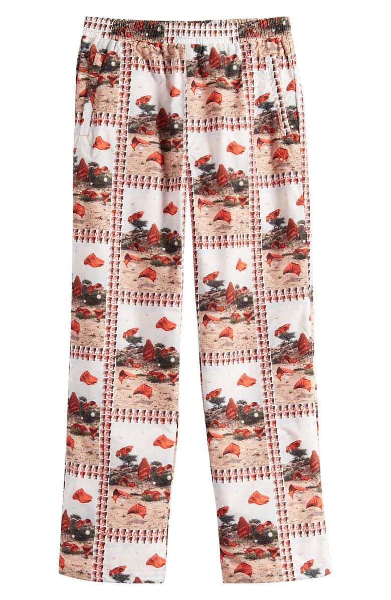 DAILY PAPER Rashid Print Pants, Alternate, color, 