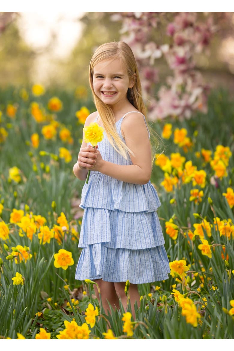 Up and Away Sleeveless Tiered Dress, Alternate, color, Blue