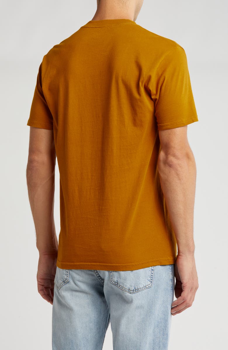 American Needle Joshua Tree Graphic T-Shirt, Alternate, color, Hazel