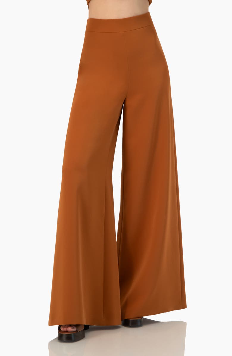 IVONNE Solid Ultra Wide-Leg Pants, Main, color, Brown