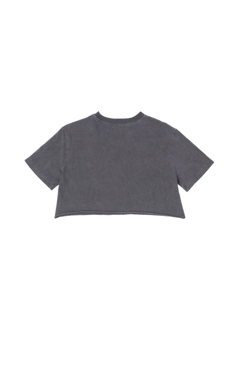 ARIKO Beach Crop Tee, Alternate, color, Sea Grey