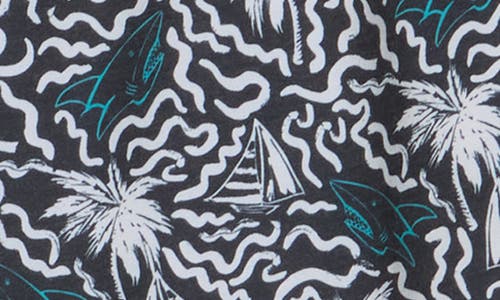 Fair Harbor The Bayberry Swim Trunks In Multi