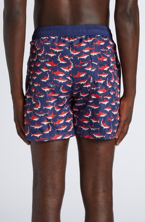 Moncler Short De Bain À Imprimé Requin In Navy Blue