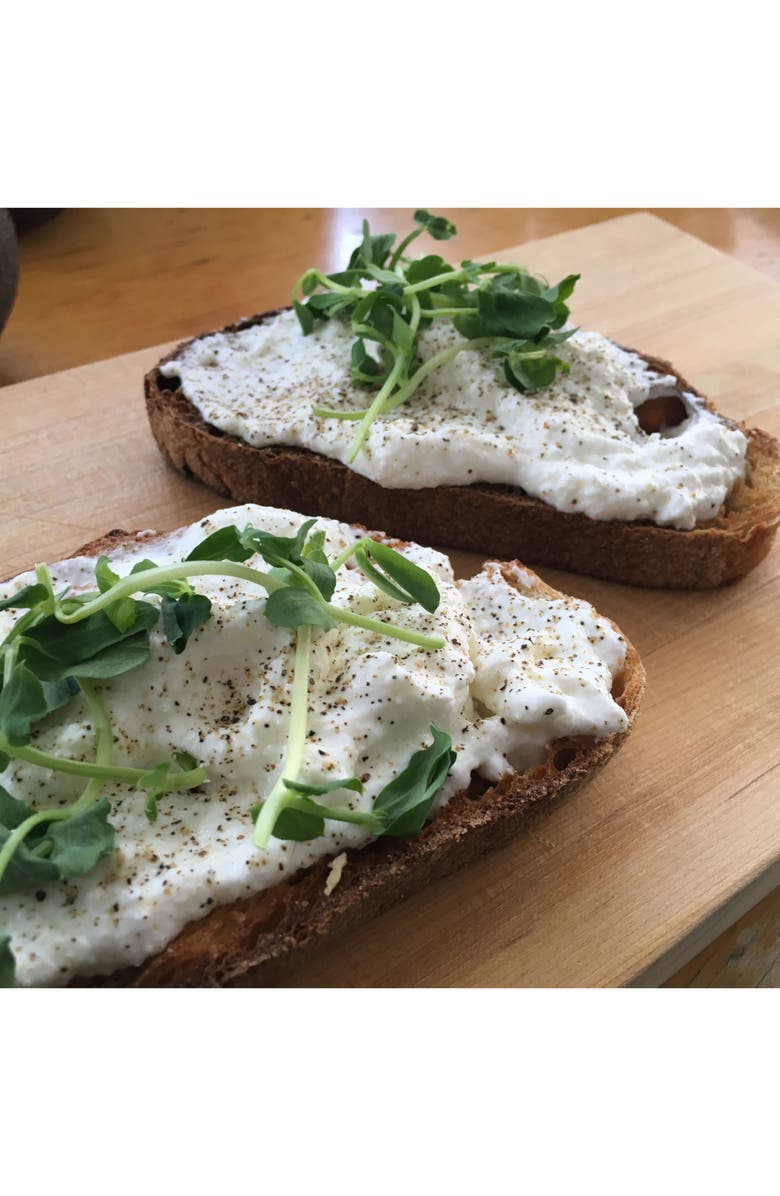 Brooklyn Brew Shop FarmSteady Fresh Cheese Making Kit, Alternate, color, Red